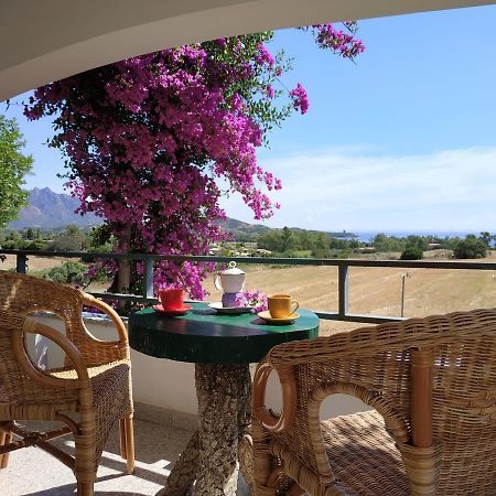 Vacanza In Ogliastra Tertenìa 外观 照片