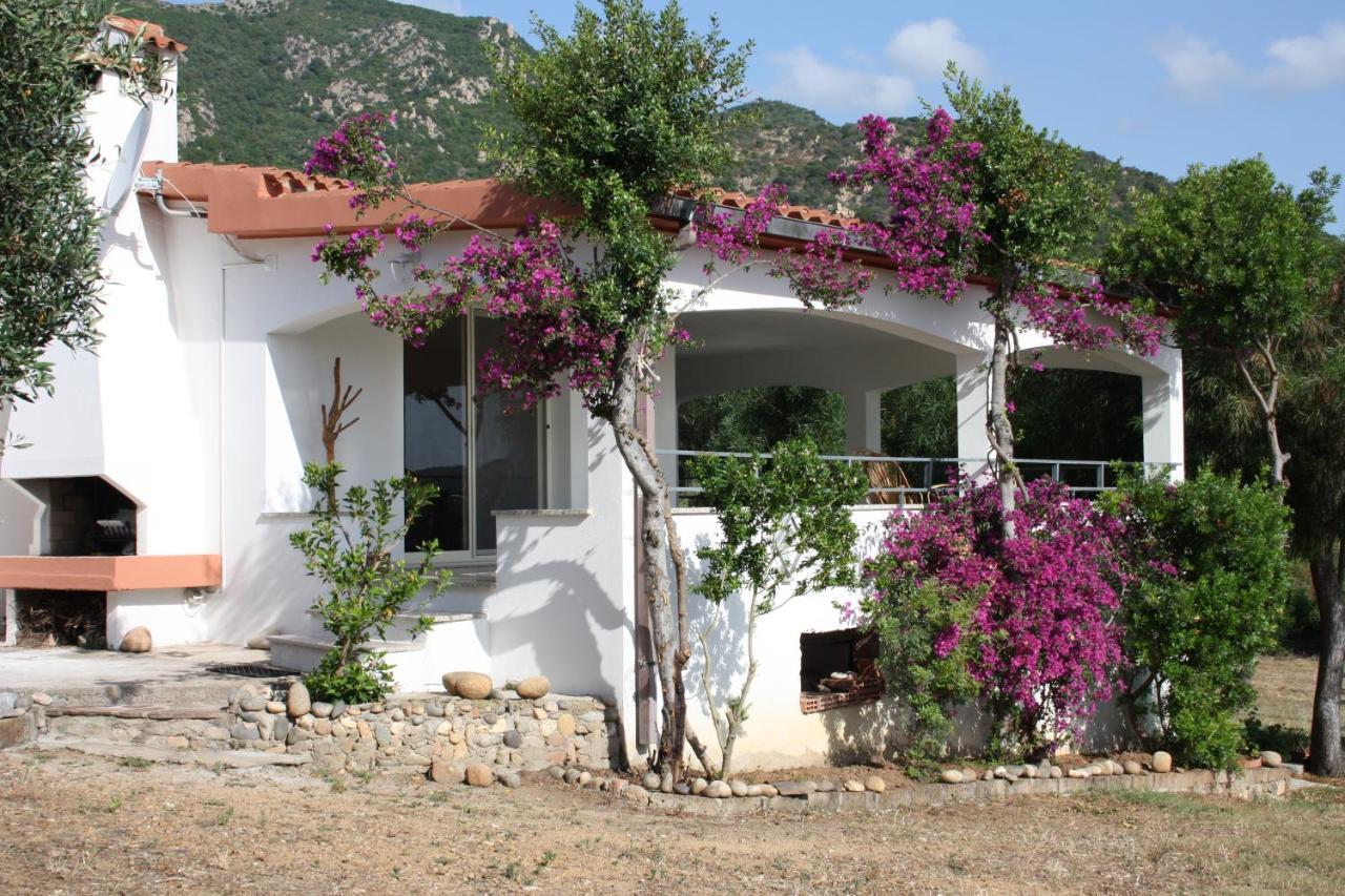 Vacanza In Ogliastra Tertenìa 外观 照片