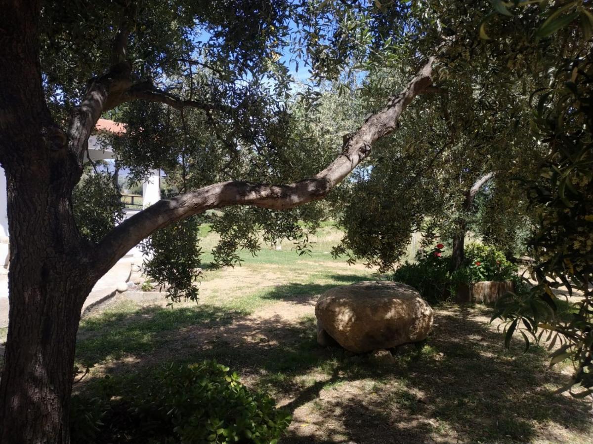 Vacanza In Ogliastra Tertenìa 外观 照片