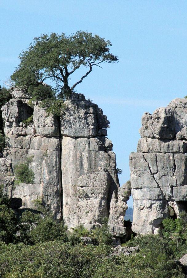 Vacanza In Ogliastra Tertenìa 外观 照片