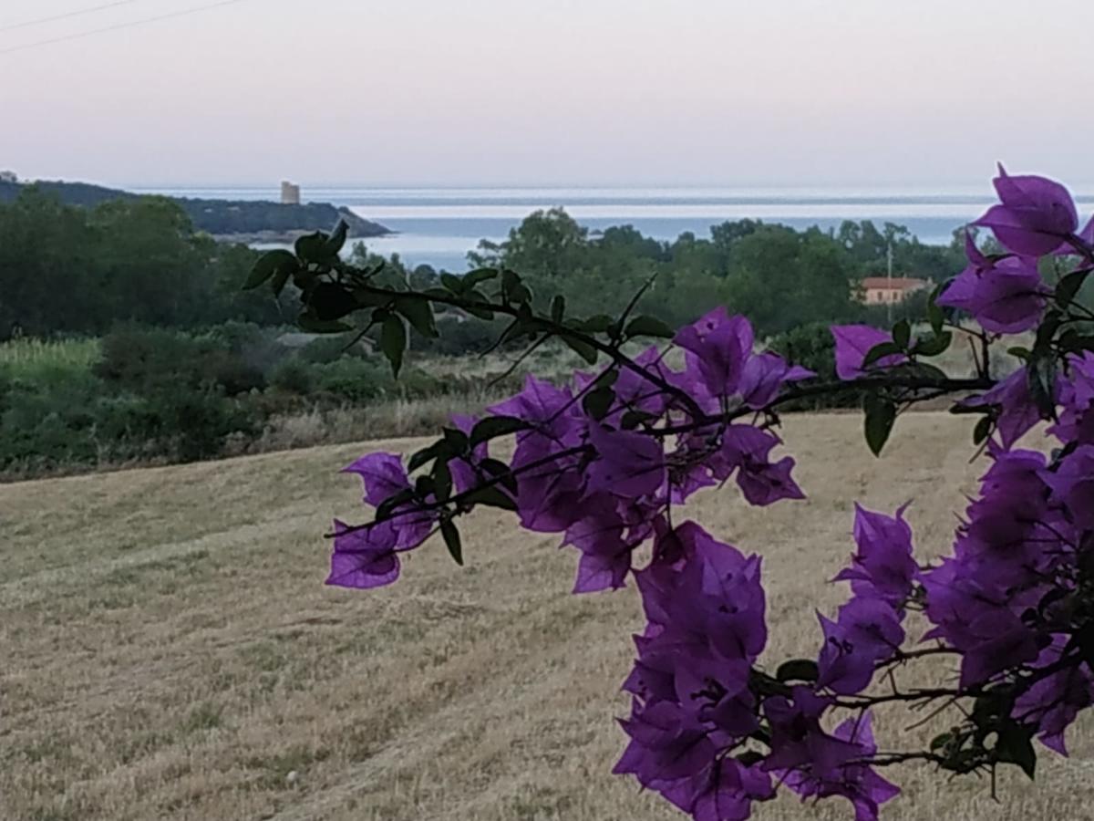 Vacanza In Ogliastra Tertenìa 外观 照片